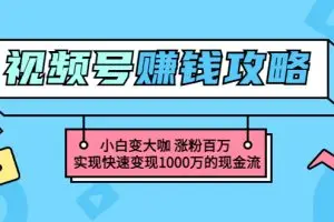 玩转微信视频号赚钱：小白变大咖 涨粉百万 实现快速变现1000万的现金流