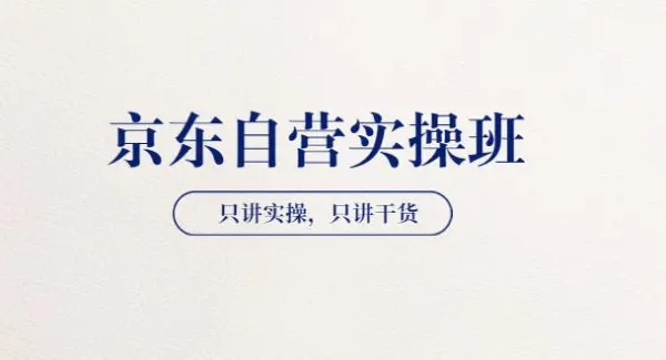 【京东自营实操班】只讲实操，只讲干货（28小时课程-共2期）价值4980