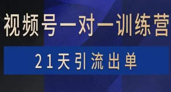 视频号训练营：带货，涨粉，直播，游戏，四大变现新方向，21天引流出单