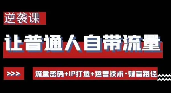 让普通人自带流量的逆袭课：流量密码 IP打造 运营技术·财富路径