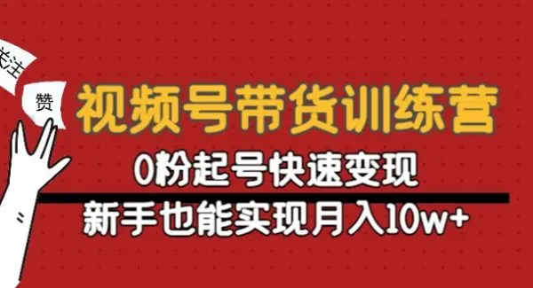 视频号带货训练营：0粉起号快速变现，新手也能实现月入10w+