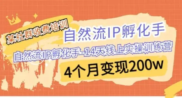 某社群收费培训：自然流IP 孵化手-14天线上实操训练营 4个月变现200w