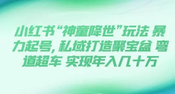 小红书“神童降世”玩法 暴力起号,私域打造聚宝盆 弯道超车 实现年入几十万