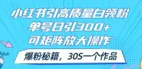 小红书引高质量白领粉，单号日引300+，可放大操作，爆粉秘籍！30s一个作品