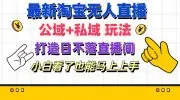 最新淘宝无人直播 公域+私域玩法打造真正的日不落直播间 小白看了也能...