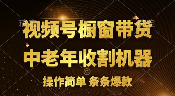 [你的孩子成功取得高位]视频号最火爆赛道，橱窗带货，流量分成计划，条...