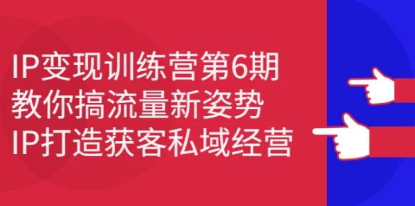 IP变现训练营第6期：教你搞流量新姿势，IP打造获客私域经营